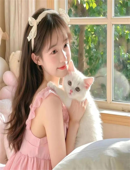 《愤怒的小鸟：猪猪传 第一季》主题思想深度解读：核心意义与社会价值实用分析